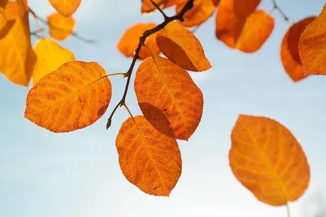 1-title-image
